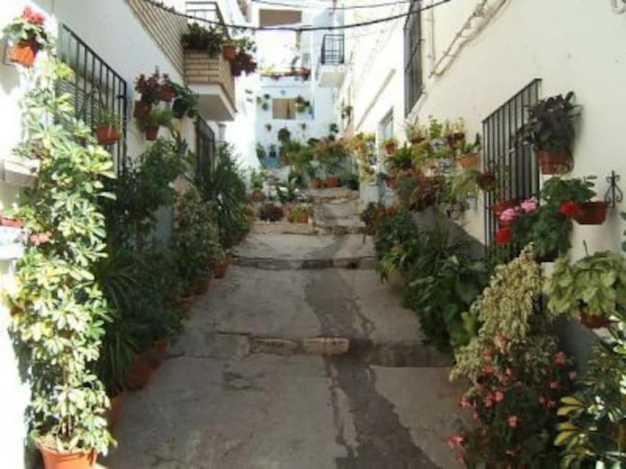 Boutique Style Apartment In Velez De Benaudalla - Near Salobrena Exterior photo